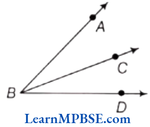Class-6-Maths-Chapter-5-Understanding-Elementary-Shapes-Short-Answer-Type-Question-2