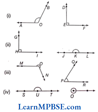 Class-6-Maths-Chapter-5-Understanding-Elementary-Shapes-Short-Answer-Type-Question-3.1