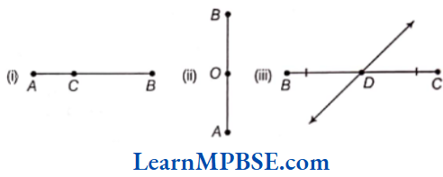 Class-6-Maths-Chapter-5-Understanding-Elementary-Shapes-Short-Answer-Type-Question-4
