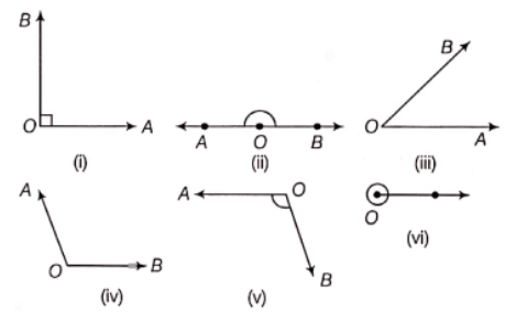 Class-6-Maths-Chapter-5-Understanding-Elementary-Shapes-Short-Answer-Type-Question-6