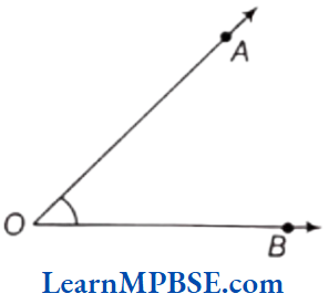 Class-6-Maths-Chapter-5-Understanding-Elementary-Shapes-Short-Answer-Type-Question-7.1