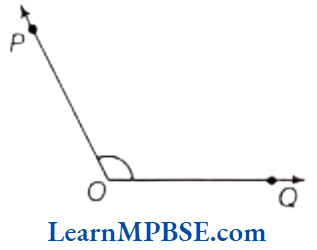 Class-6-Maths-Chapter-5-Understanding-Elementary-Shapes-Short-Answer-Type-Question-7.2