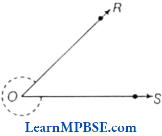 Class-6-Maths-Chapter-5-Understanding-Elementary-Shapes-Short-Answer-Type-Question-7.3