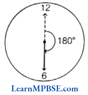 Class-6-Maths-Chapter-5-Understanding-Elementary-Shapes-Straight-angle