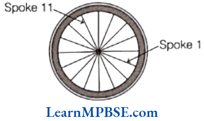 Class-6-Maths-Chapter-5-Understanding-Elementary-Shapes-Very-Short-Answer-Question-7 (1)