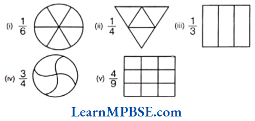 Class-6-Maths-Chapter-7-Fractions-Exercise-7.1-Question-2