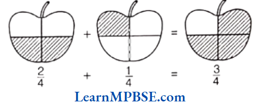 Class-6-Maths-Chapter-7-Fractions-Exercise-7.4-Question-1.1