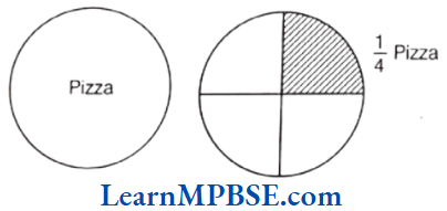 Class-6-Maths-Chapter-7-Fractions-Fraction