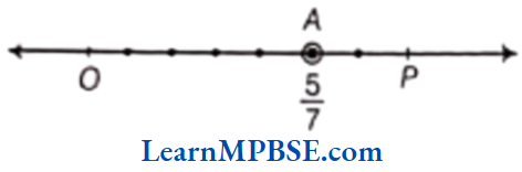 Class-6-Maths-Chapter-7-Fractions-Fraction-On-The-Number-Line